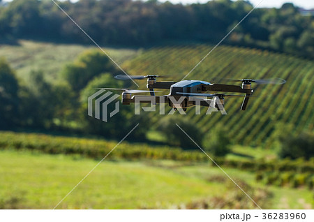 Drone flying landscape with vineyards 36283960