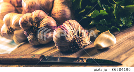 Garlic Cloves and Garlic Bulb Garlic Cloves and Garlic Bulb 36284196
