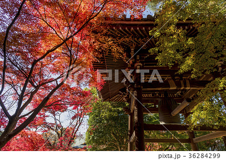 東漸寺の秋景色 東漸寺の秋景色 36284299