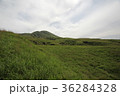 熊本阿蘇山の雄大な景色 36284328