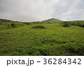 熊本阿蘇山の雄大な景色 36284342