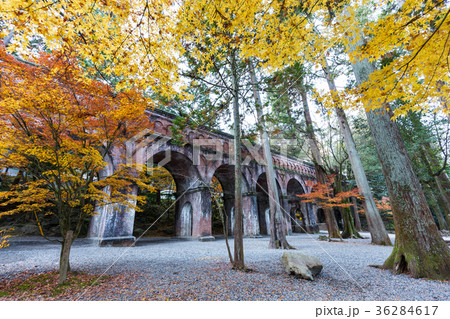 秋の水路閣 36284617