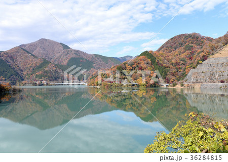 丹沢湖　紅葉 36284815