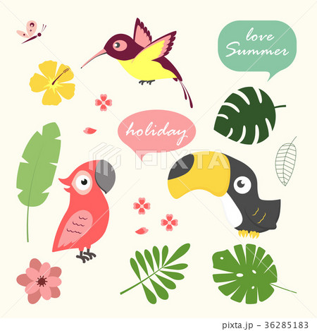 tropical set with birds tropical set with birds 36285183