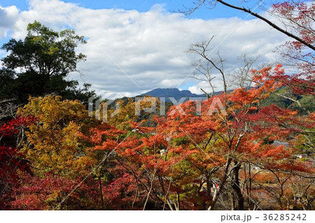西渓公園の紅葉 西渓公園の紅葉 36285242