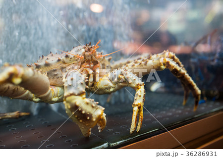 Live crab on sale Live crab on sale 36286931