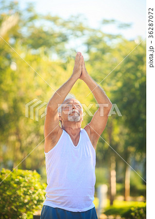 Grey Bearded Old Man in White Vest Shows Yoga in Park Grey Bearded Old Man in White Vest Shows Yoga in Park 36287072