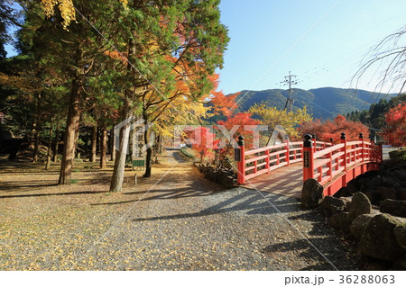 冠嶽神社　花川橋 36288063