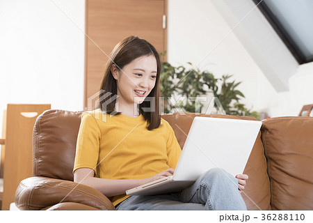 自宅リビングのソファーでパソコンをする若い女性 自宅リビングのソファーでパソコンをする若い女性 36288110