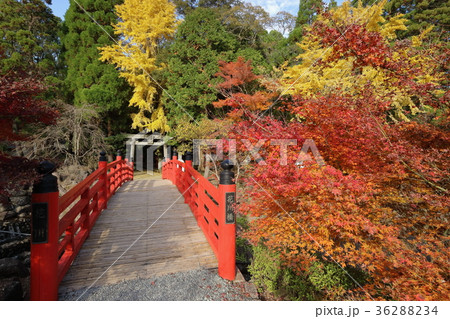 冠嶽神社　花川橋 36288234