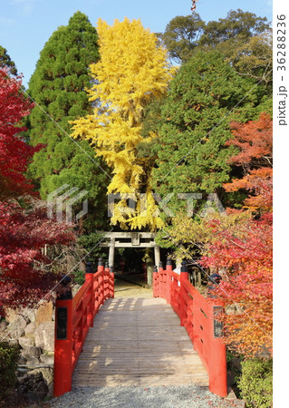 冠嶽神社 花川橋 冠嶽神社 花川橋 36288236