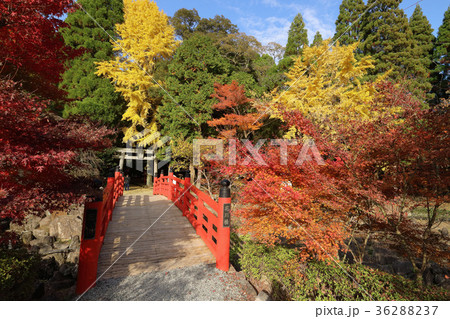 冠嶽神社　花川橋 36288237