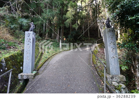 四国八十八ヶ所霊場　第45番札所 海岸山 岩屋寺（かいがんざんいわやじ）　参道の石碑 36288239