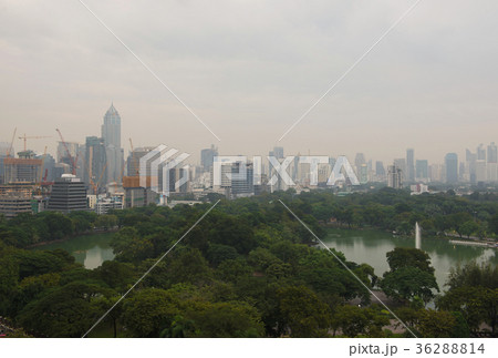 Lumpini Park with skyscrapers, Bangkok city, Thailand 36288814