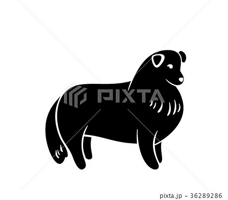 Vector silhuette of sheltie 36289286