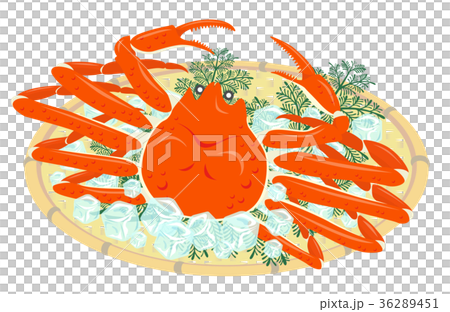 ズワイガニ 白背景 ズワイガニ 白背景 36289451