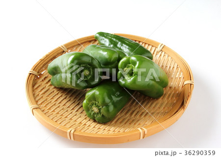ピーマン 36290359