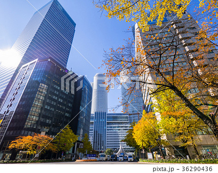 名古屋駅前　都市風景 36290436