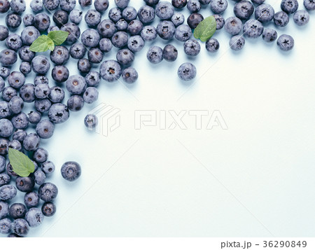 Blueberry background copy space Blueberry background copy space 36290849