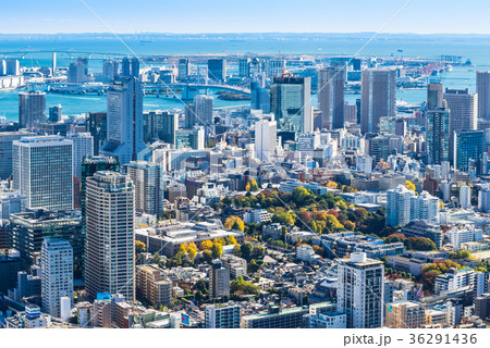 東京ベイエリアの写真素材