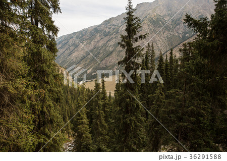 Kyrgyzstan. Gorge Barskoon. 36291588
