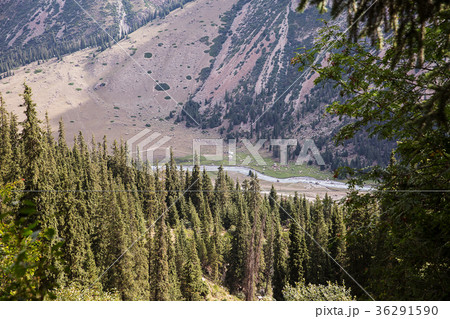 Kyrgyzstan. Gorge Barskoon. 36291590
