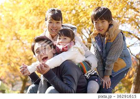 黄葉を楽しむ家族 黄葉を楽しむ家族 36291615