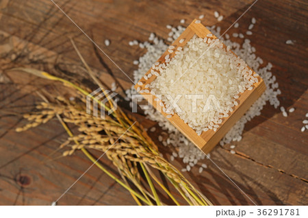稲穂と枡の米 稲穂と枡の米 36291781