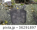 四国八十八ヶ所霊場　第46番札所 浄瑠璃寺　じょうるりじ　佛の足跡（ほとけのあしあと） 36291897