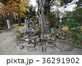 四国八十八ヶ所霊場　第46番札所 浄瑠璃寺　じょうるりじ　もみ大師 36291902