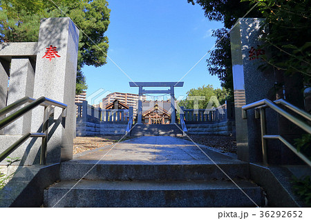 十二神社（川崎市麻生区万福寺3丁目）  36292652