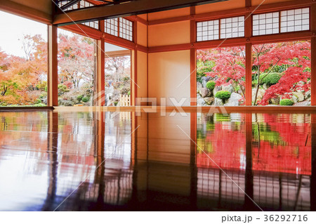 漆塗りの床と日本庭園 36292716
