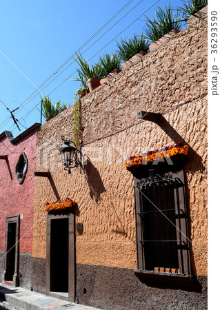 サンミゲル・デ・アジェンデ(メキシコ） 36293590