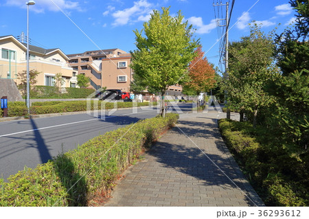 川崎市麻生区 万福寺3丁目から4丁目8を見る(新百合山手東通り) 川崎市麻生区 万福寺3丁目から4丁目8を見る(新百合山手東通り) 36293612