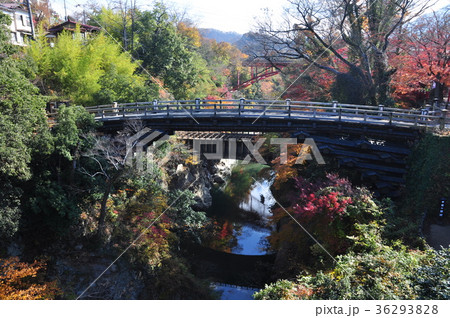 猿橋 猿橋 36293828