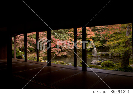 紅葉　京都　蓮華寺1 36294011