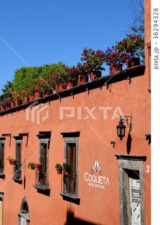 サンミゲル・デ・アジェンデ(メキシコ） 36294326