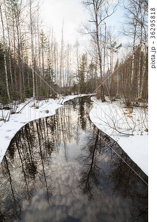 Partially frozen forest river Partially frozen forest river 36295818