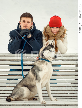 Family vertical portrait. The beautiful siberian 36295989