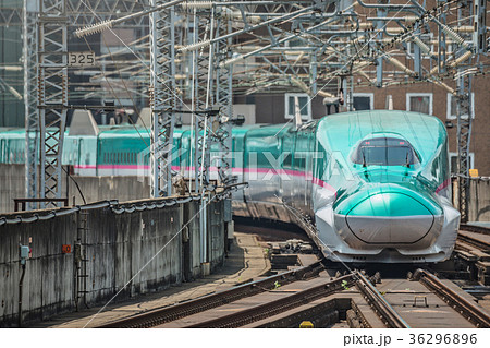 E5系はやぶさ 36296896