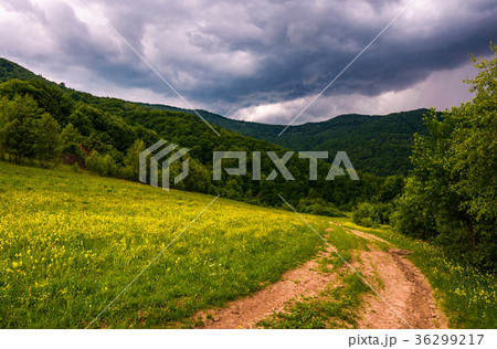 grassy field on hillside in stormy weather grassy field on hillside in stormy weather 36299217