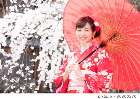 花見 着物を着た女性 花見 着物を着た女性 36300570