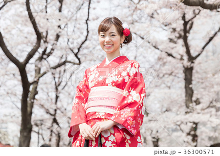 花見 着物を着た女性 花見 着物を着た女性 36300571