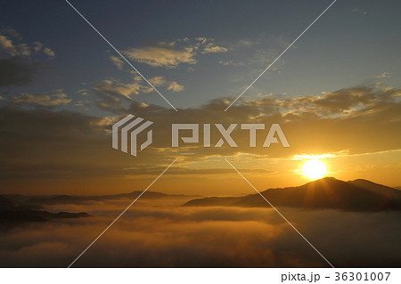 鎌倉山の雲海 ( 栃木県 茂木町 11月 ) 36301007