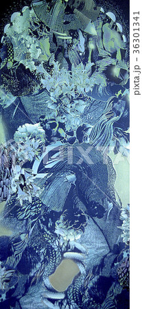 花の聖堂 花の聖堂 36301341