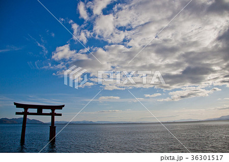 白鬚神社 琵琶湖の鳥居 青空1 白鬚神社 琵琶湖の鳥居 青空1 36301517