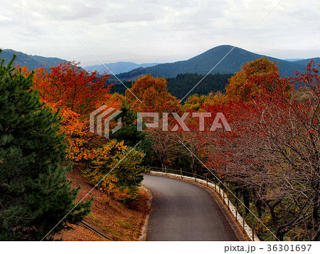 きららの里の紅葉 きららの里の紅葉 36301697