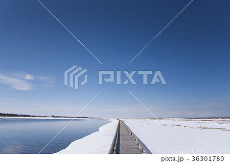 雪原の道 雪原の道 36301780