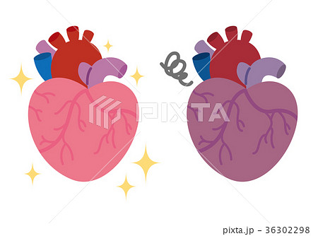 健康な心臓 弱った心臓 臓器 医療のイラスト素材