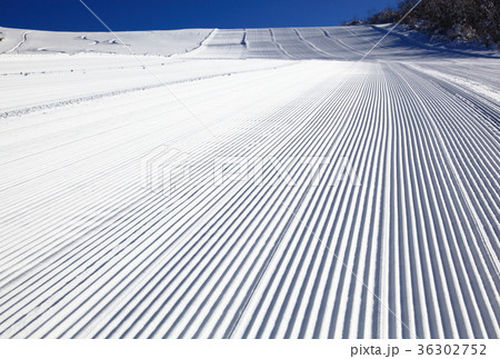 バージンゲレンデ　（蔵王ライザスキー場） 36302752